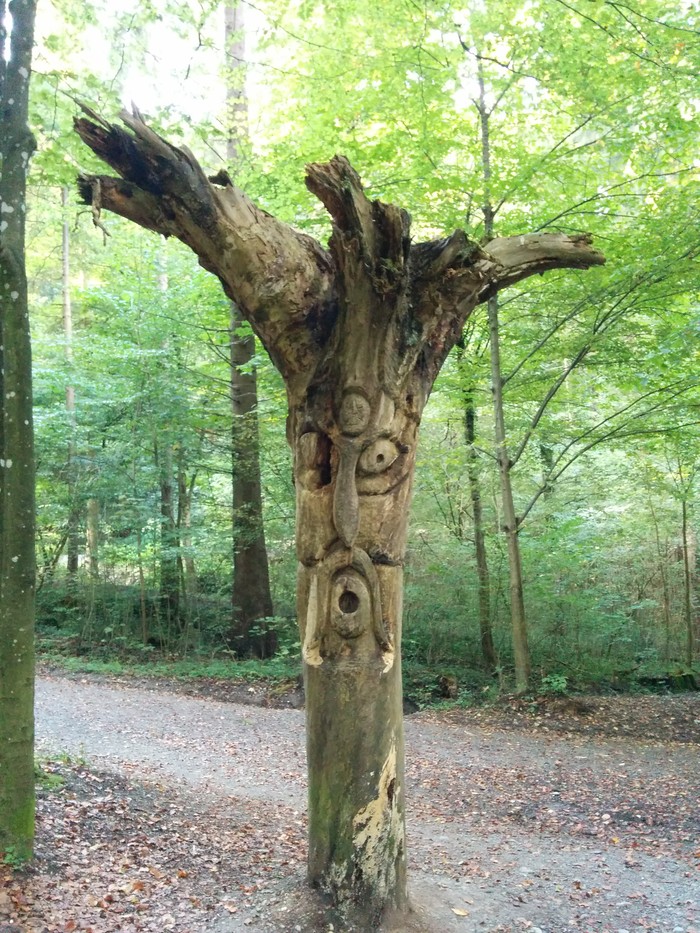 Some weird tree/sculpture on the way to the top