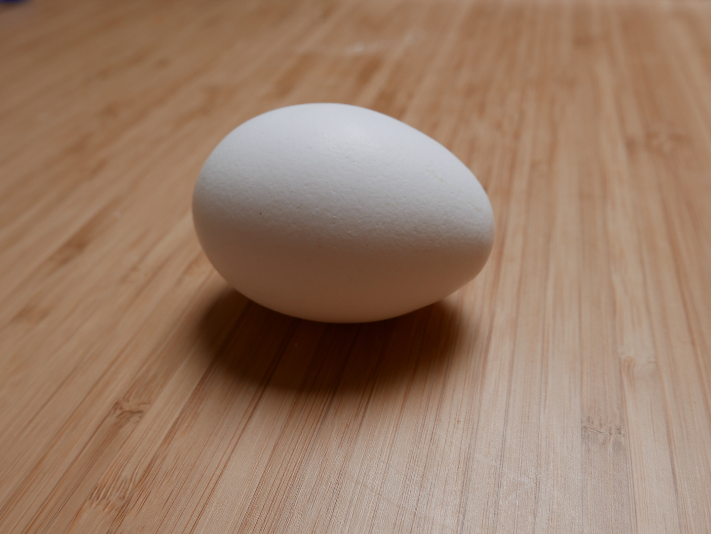 Egg