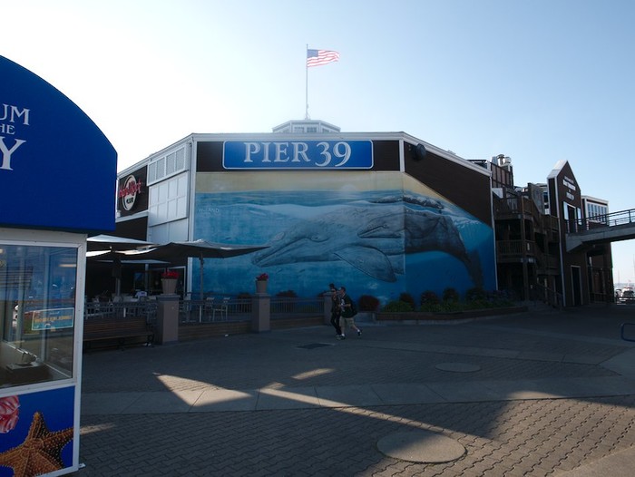 Pier 39.