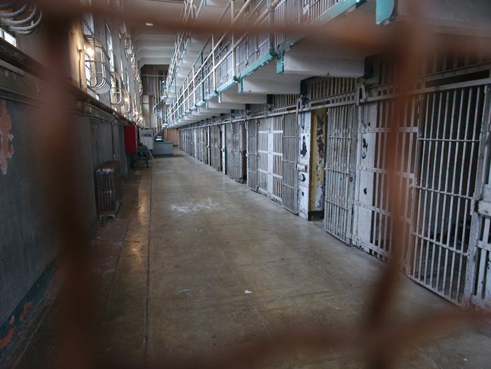 Row of cells.