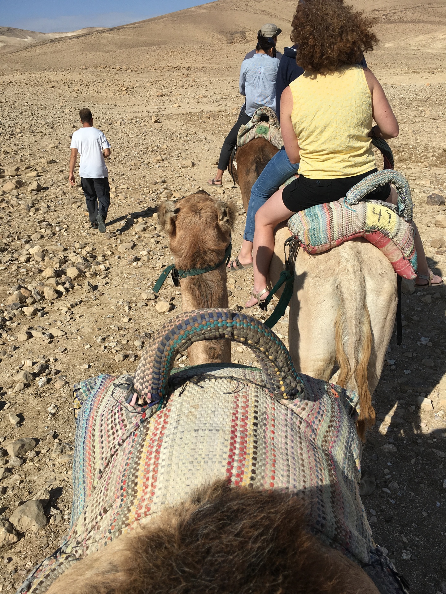 Camel ride