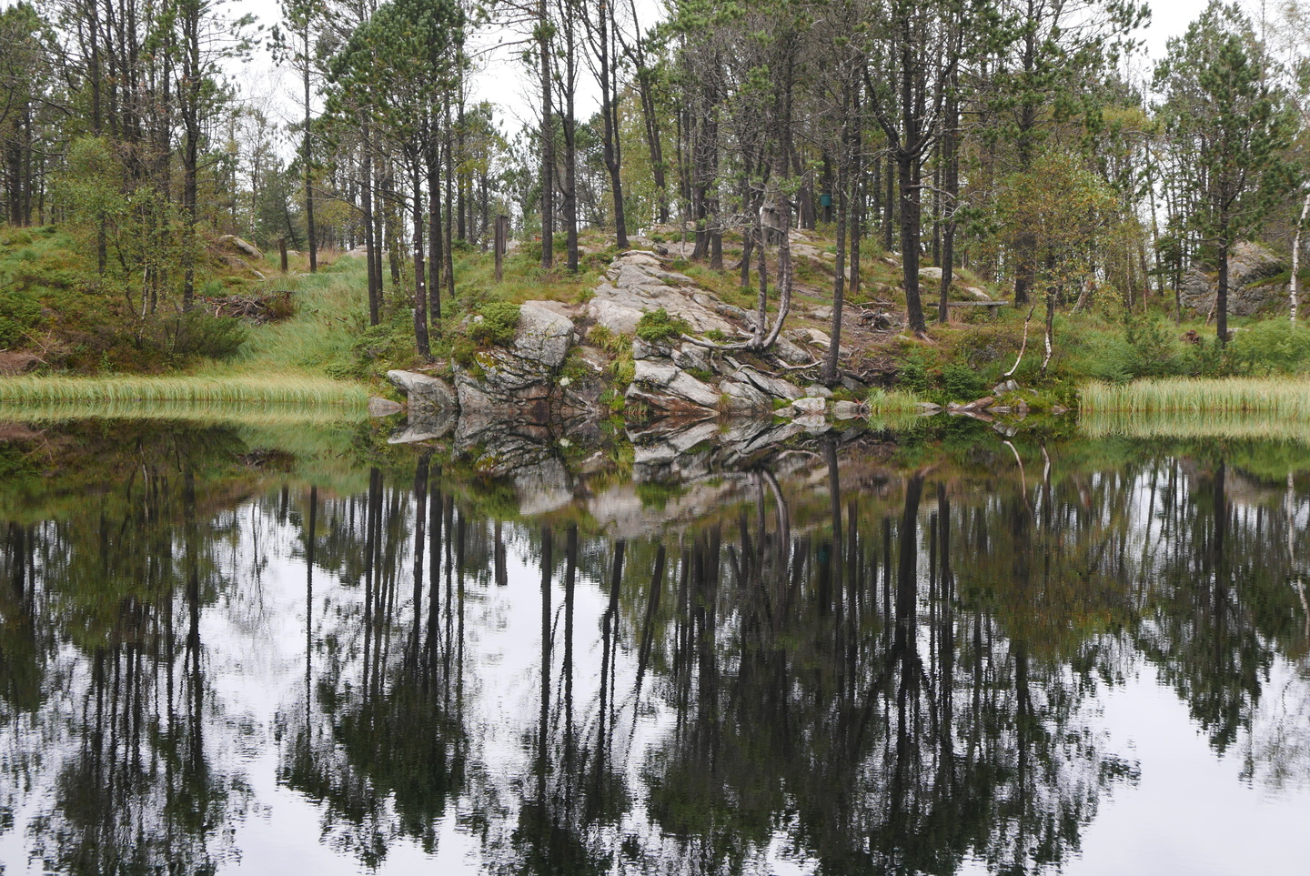 Quiet pond