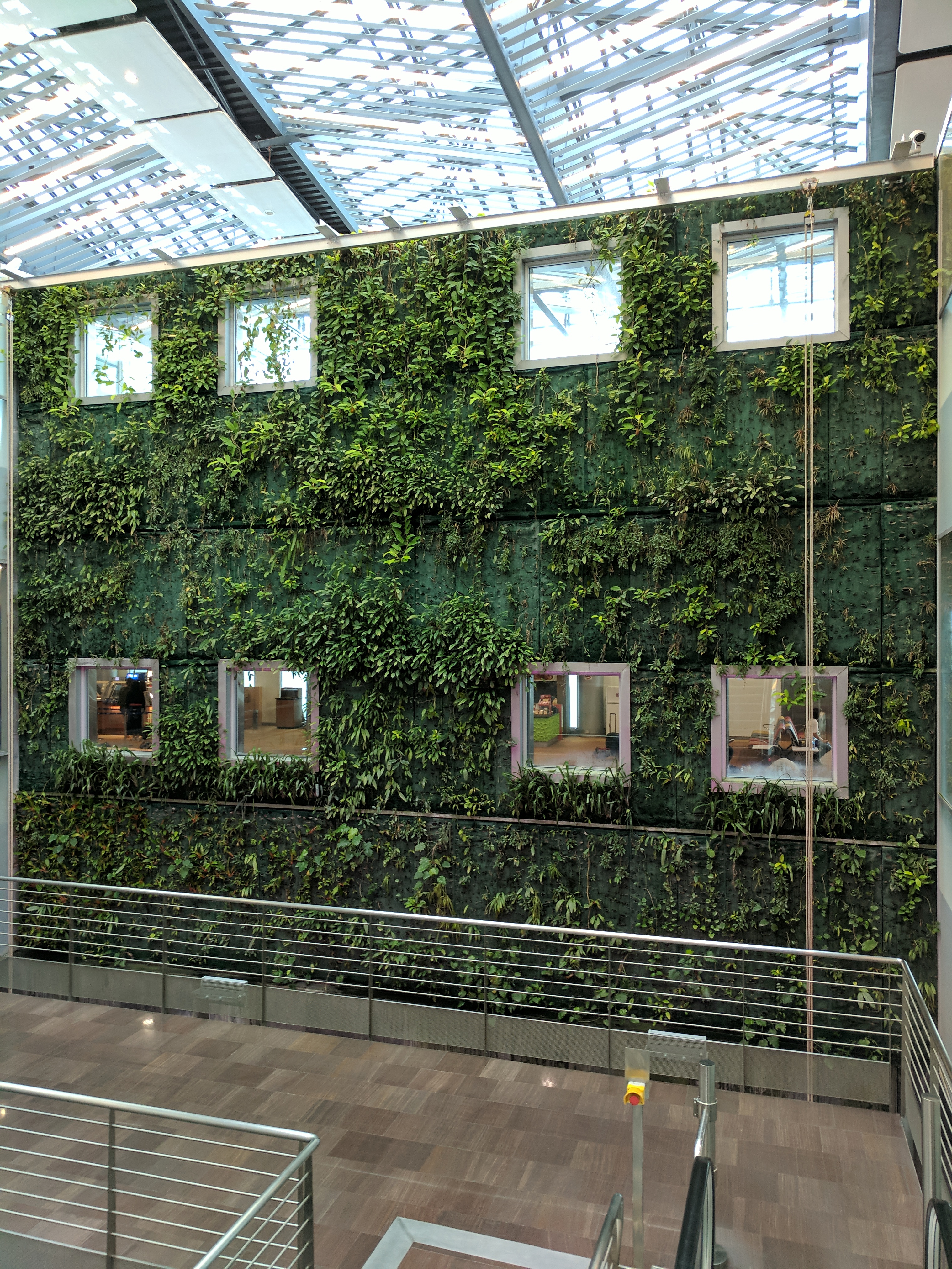 Green wall at the airport
