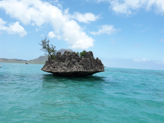 This rock used to be underwater! Pesky global warming cannot happen soon enough!