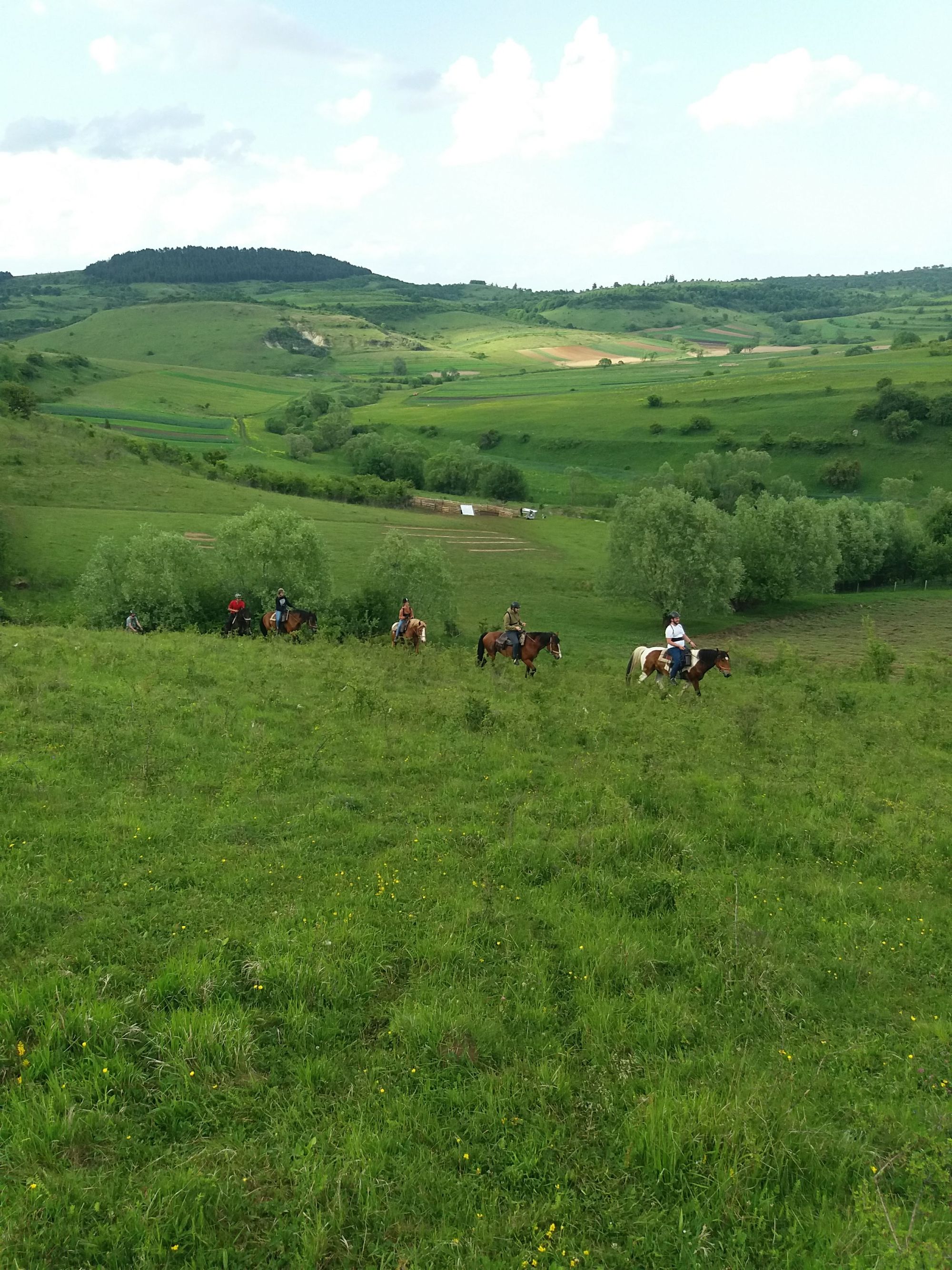 Roland tries new things: Horse riding