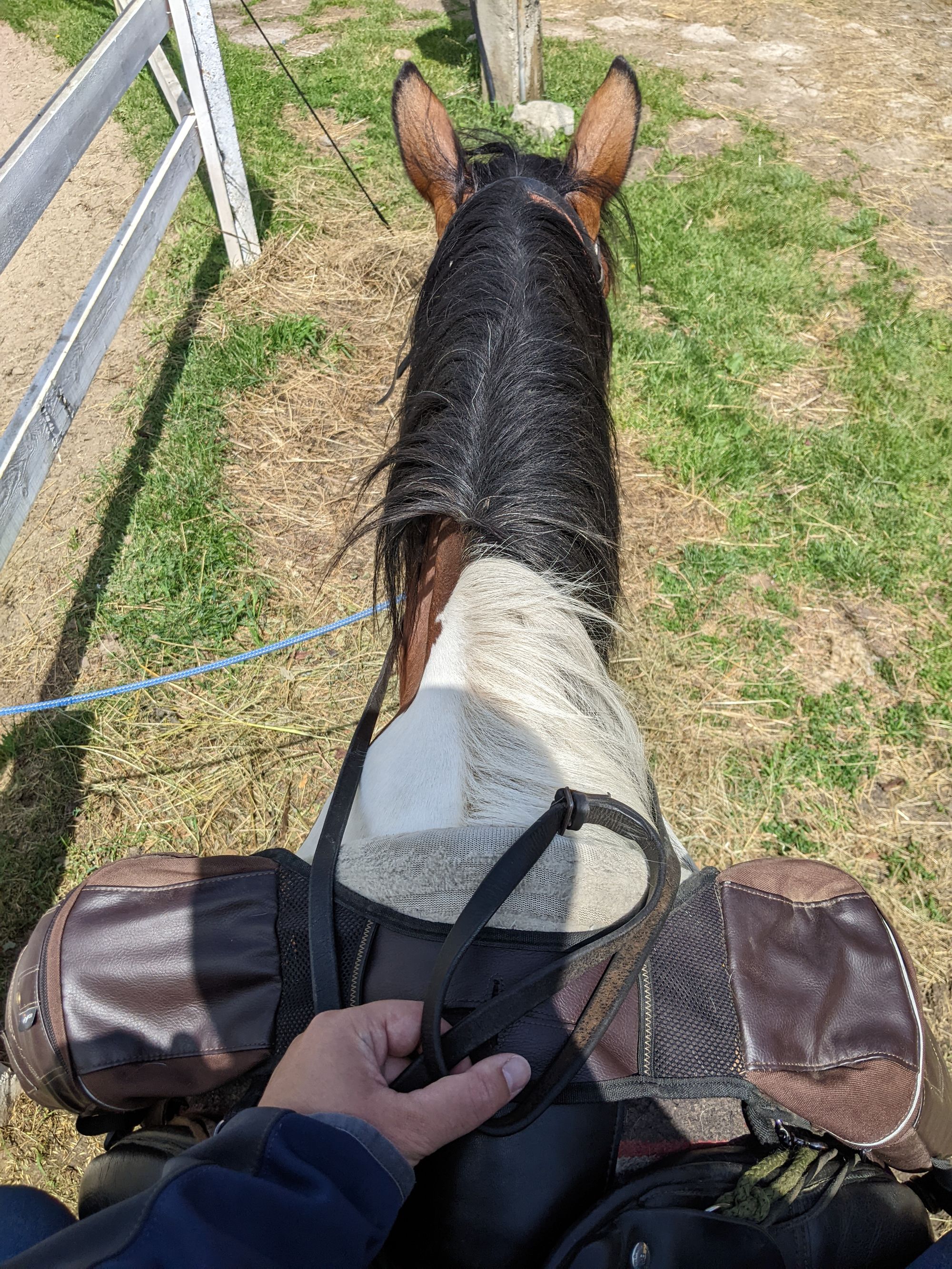 Roland tries new things: Horse riding