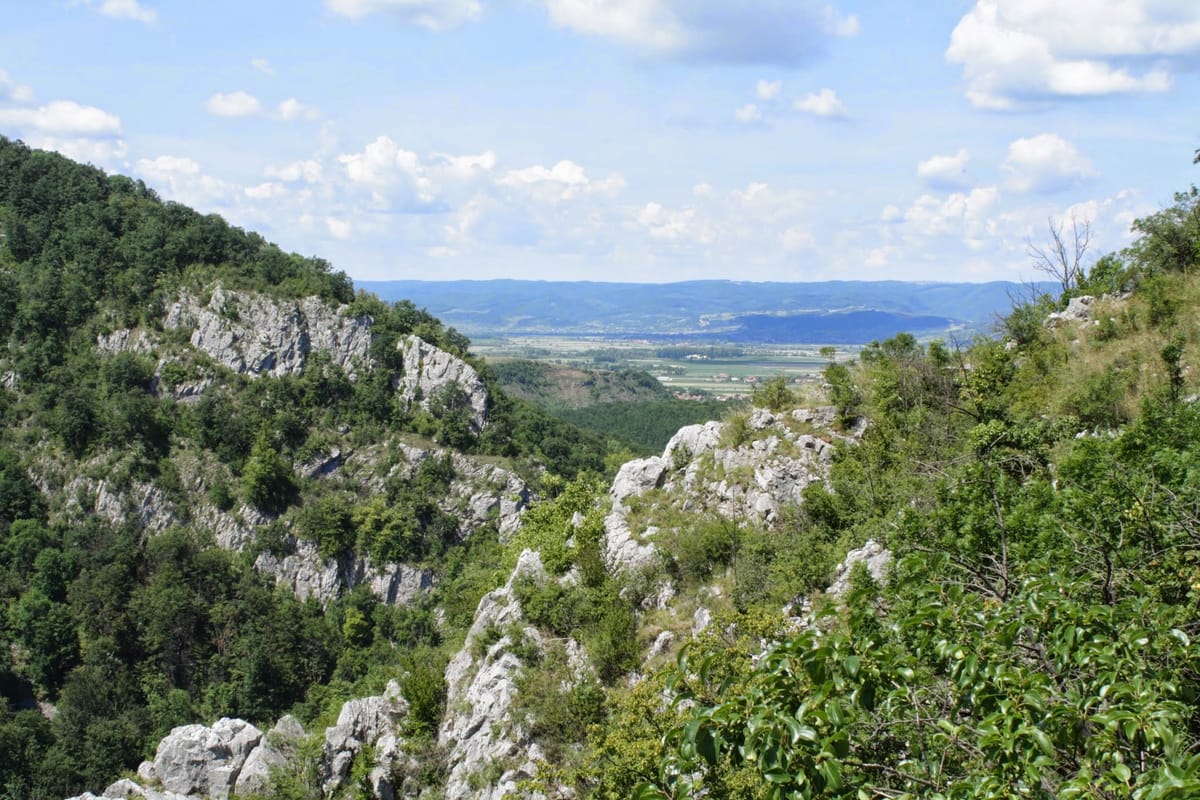 Frumusețea Vadului (și a Șuncuiușului)