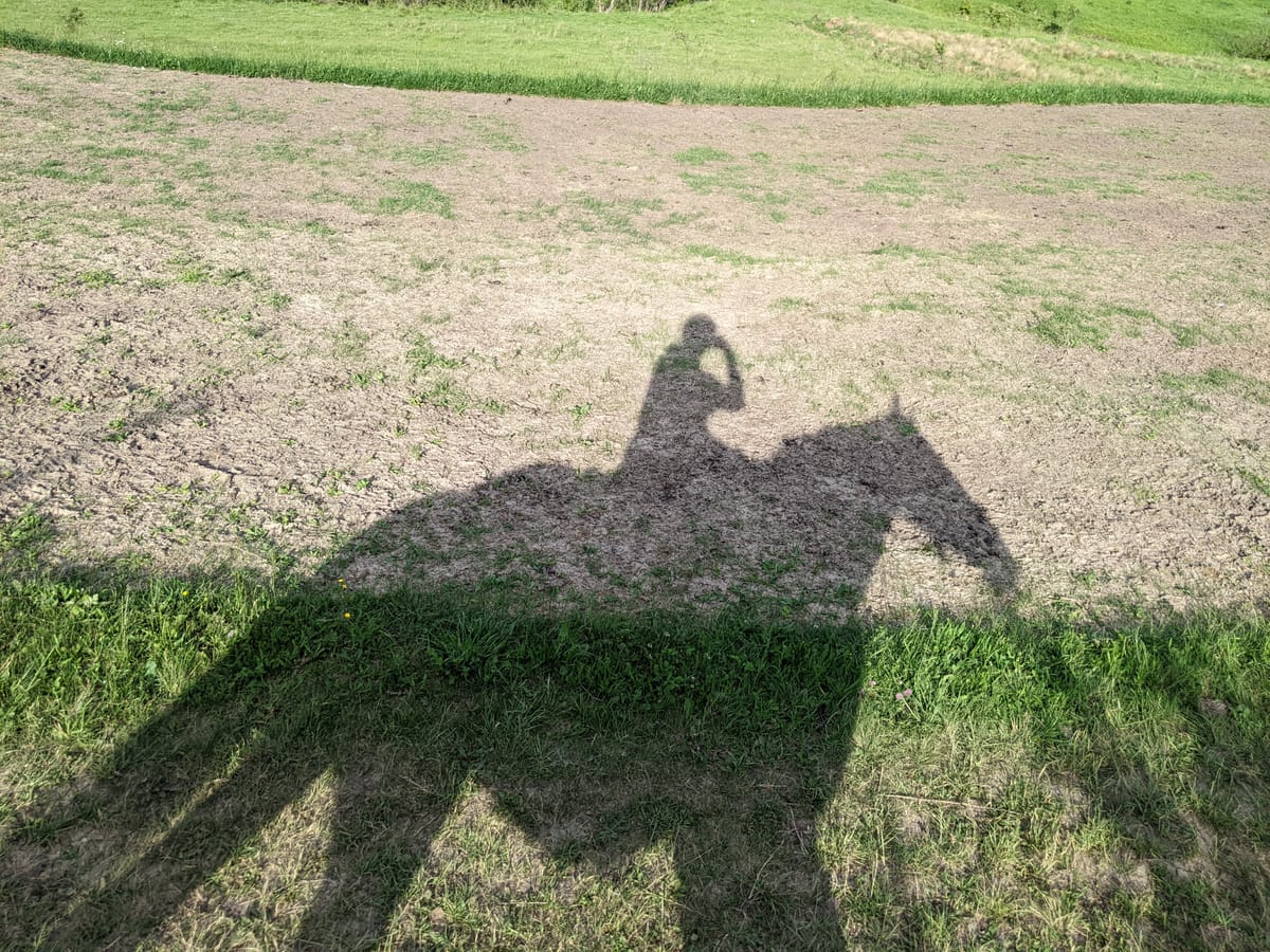 Roland tries new things: Horse riding