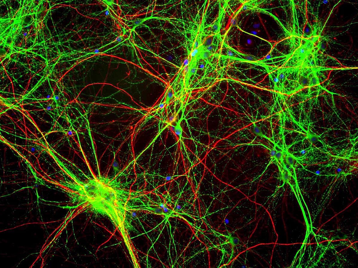 Neural Networks in Python